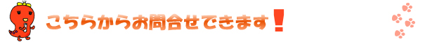 お問合せ