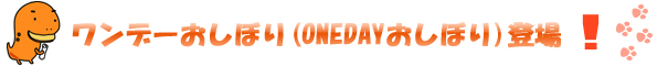ワンデーおしぼり（ONEDAYおしぼり）