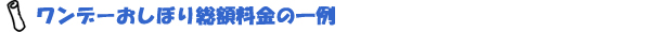 ワンデーおしぼり総額料金の一例